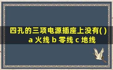 四孔的三项电源插座上没有( ) a 火线 b 零线 c 地线